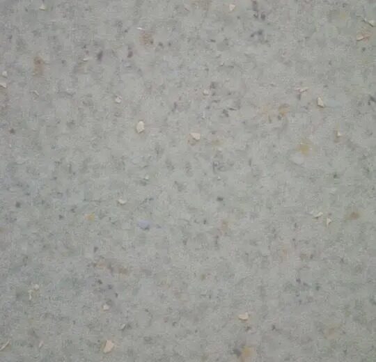 5504